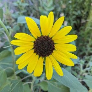 Meet your Posher, Arielle